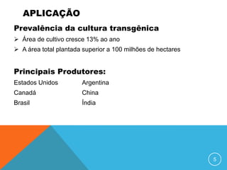 APLICAÇÃO
Prevalência da cultura transgênica
 Área de cultivo cresce 13% ao ano
 A área total plantada superior a 100 milhões de hectares


Principais Produtores:
Estados Unidos         Argentina
Canadá                 China
Brasil                 Índia




                                                             5
 
