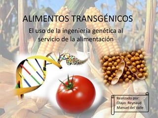 ALIMENTOS TRANSGÉNICOS
El uso de la ingeniería genética al
servicio de la alimentación
Realizado por:
Olayo Reynaud
Manuel del Valle
 