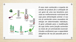 O caso mais conhecido a respeito do
estudo do produto foi a utilização de
um gene de uma noz brasileira com
vista ao melhoramento nutricional da
soja para alimentação animal. A noz
era já conhecida como causadora de
alergia em determinados indivíduos.
O gene utilizado para a modificação
da soja tinha como função aumentar
os níveis de um aminoácido essencial.
Estudos verificaram que a capacidade
alergênica da noz foi passada para a
soja.
 