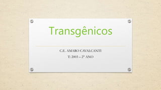 Transgênicos
C.E. AMARO CAVALCANTI
T: 2003 – 2° ANO
 