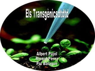 Els Transgènicsdtdtd Albert Pujol Ricard Pérez Pol Balagué 