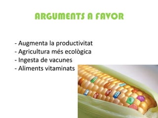 ARGUMENTS A FAVOR

- Augmenta la productivitat
- Agricultura més ecològica
- Ingesta de vacunes
- Aliments vitaminats
 