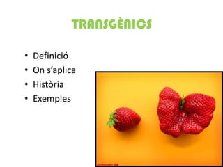 TRANSGÈNICS

•   Definició
•   On s’aplica
•   Història
•   Exemples
 
