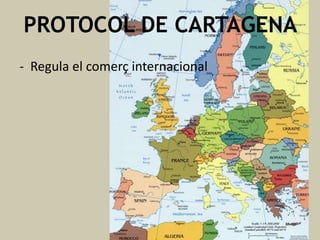 PROTOCOL DE CARTAGENA
- Regula el comerç internacional

 