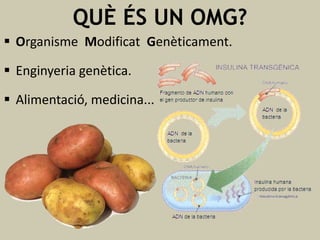 QUÈ ÉS UN OMG?
 Organisme Modificat Genèticament.

 Enginyeria genètica.
 Alimentació, medicina...

 