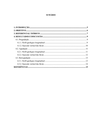 SUMÁRIO
1. INTRODUÇÃO.....................................................................................................................5
2. OBJETIVO............................................................................................................................6
3. REFERENCIAL TEÓRICO ...............................................................................................7
4. RESULTADOS E DISCUSSÃO..........................................................................................9
4.1. Progradação......................................................................................................................9
4.1.1. Perfil geológico longitudinal.....................................................................................9
4.1.2. Sucessão vertical das fácies.....................................................................................10
4.2. Agradação ......................................................................................................................11
4.2.1. Perfil geológico longitudinal...................................................................................11
4.2.2. Sucessão vertical das fácies.....................................................................................12
4.3. Retrogradação ................................................................................................................13
4.3.1. Perfil geológico longitudinal...................................................................................13
4.3.2. Sucessão vertical das fácies.....................................................................................14
REFERÊNCIAS......................................................................................................................15
 