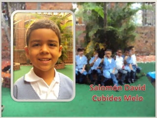 Transición 2012  13