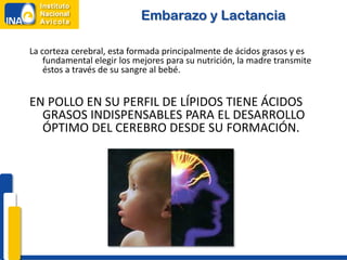 Embarazo y Lactancia

La corteza cerebral, esta formada principalmente de ácidos grasos y es
    fundamental elegir los mejores para su nutrición, la madre transmite
    éstos a través de su sangre al bebé.


EN POLLO EN SU PERFIL DE LÍPIDOS TIENE ÁCIDOS
  GRASOS INDISPENSABLES PARA EL DESARROLLO
  ÓPTIMO DEL CEREBRO DESDE SU FORMACIÓN.
 