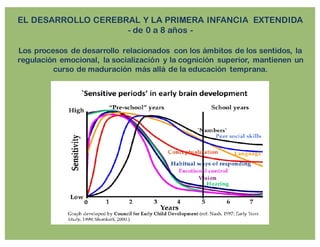 EL DESARROLLO CEREBRAL Y LA PRIMERA INFANCIA EXTENDIDA
- de 0 a 8 años -
Los procesos de desarrollo relacionados con los ámbitos de los sentidos, la
regulación emocional, la socialización y la cognición superior, mantienen un
curso de maduración más allá de la educación temprana.
 