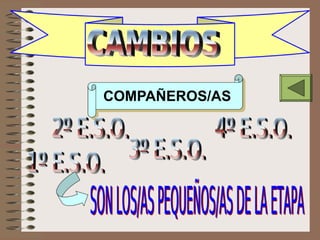 CAMBIOS compañeras
COMPAÑEROS/AS
 