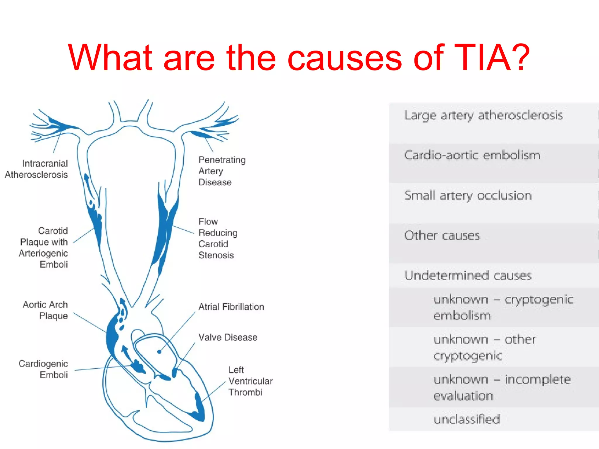 Don'T Ignore This: Understanding Transient Muscle Inactivity - b6spwfv