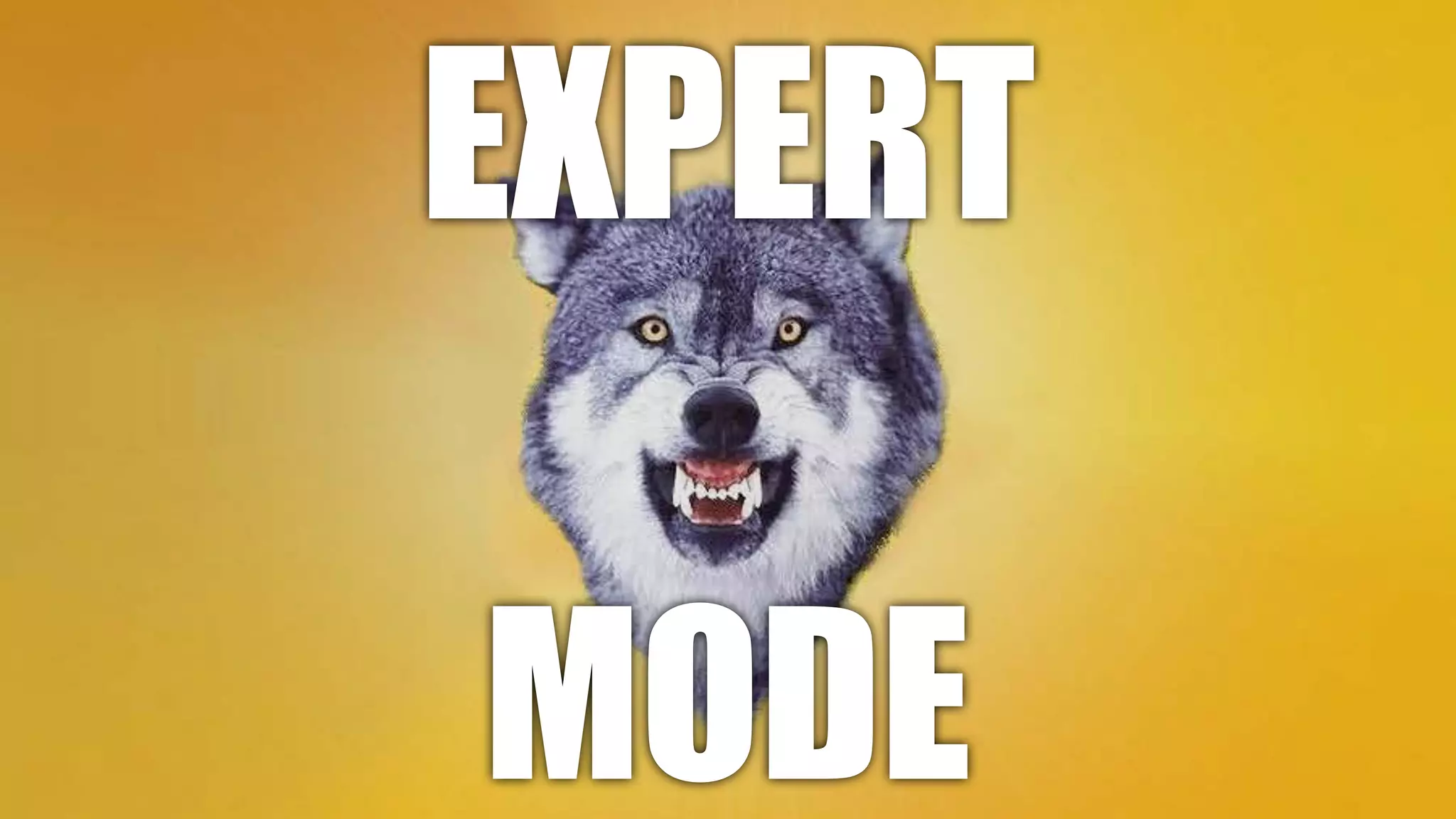 EXPERT
MODE

 