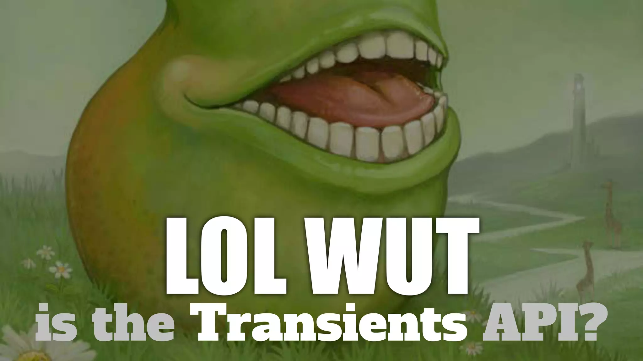 LOL WUTAPI?
is the Transients

 