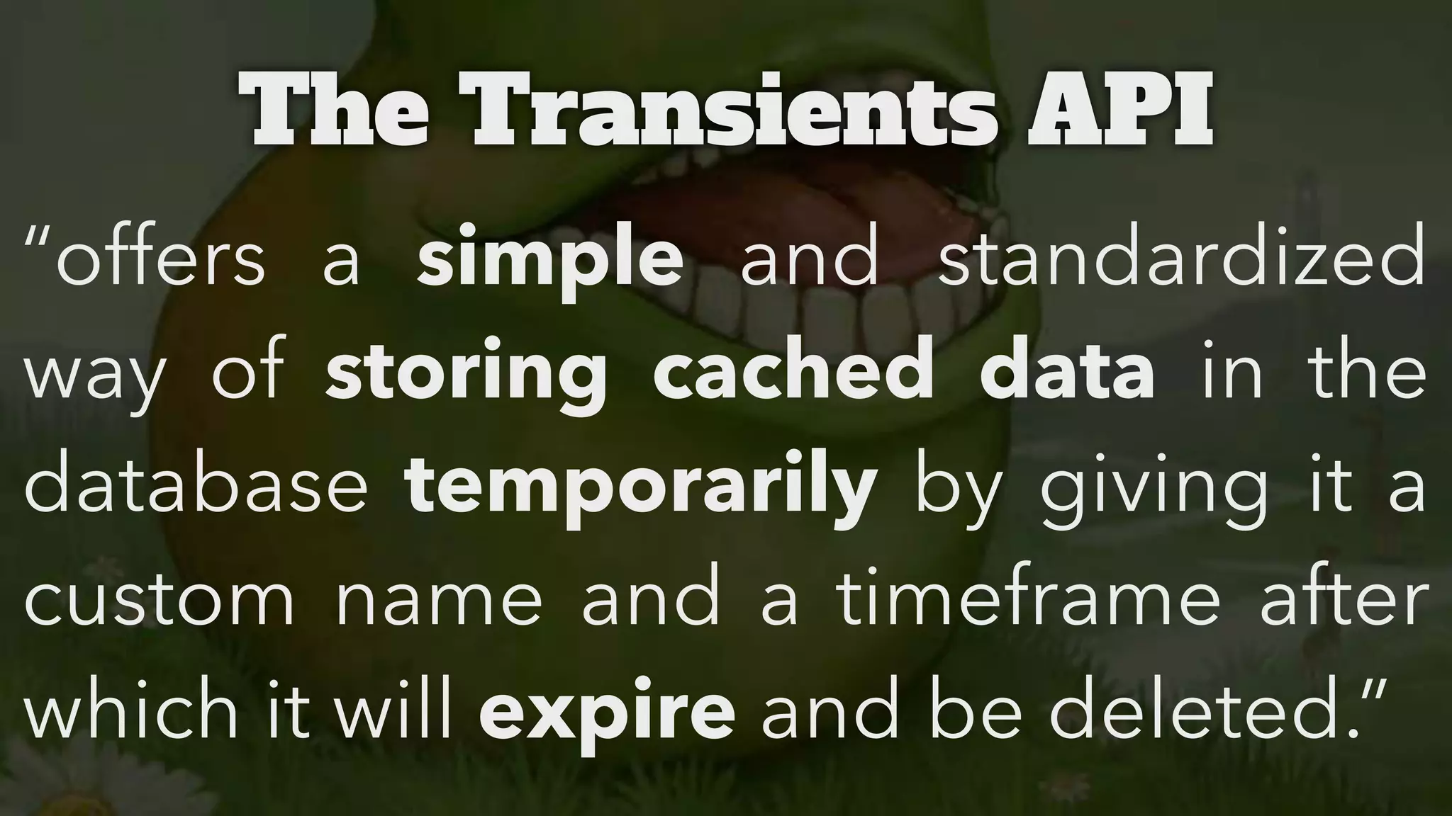 The Transients API
“offers a simple and standardized
way of storing cached data in the
database temporarily by giving it a
custom name and a timeframe after
which it will expire and be deleted.”

 
