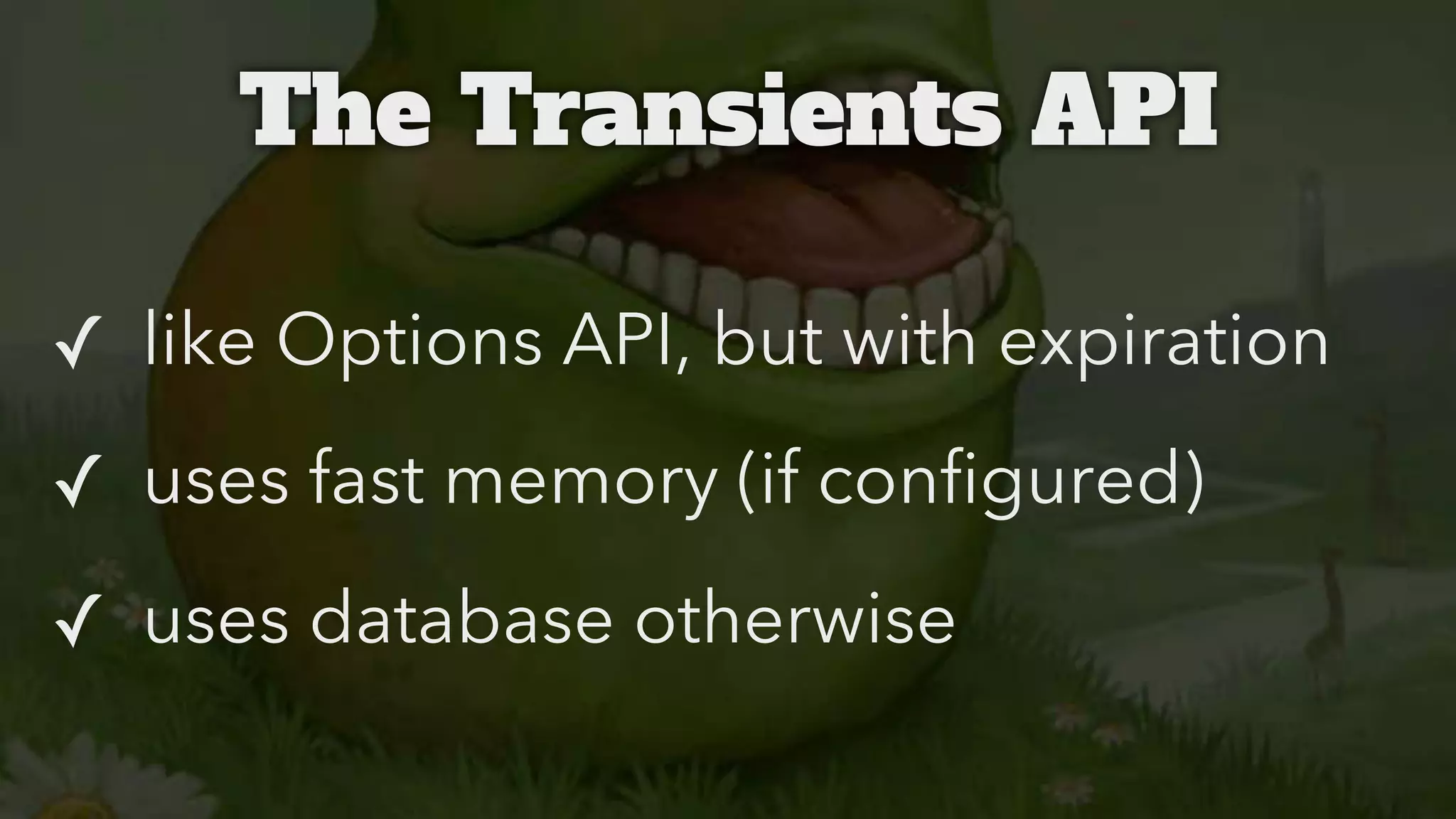 The Transients API
✓ like Options API, but with expiration
✓ uses fast memory (if configured)
✓ uses database otherwise

 