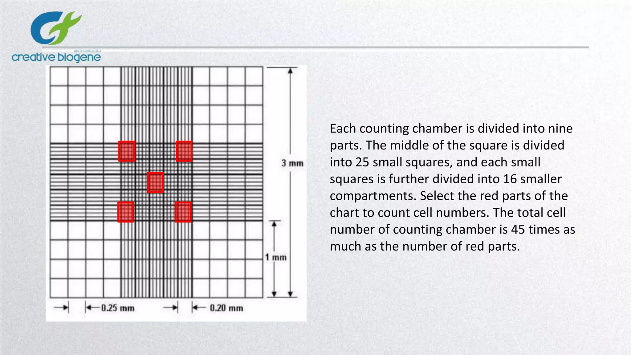 Each counting chamber is divided into nine
parts. The middle of the square is divided
into 25 small squares, and each small
squares is further divided into 16 smaller
compartments. Select the red parts of the
chart to count cell numbers. The total cell
number of counting chamber is 45 times as
much as the number of red parts.
 