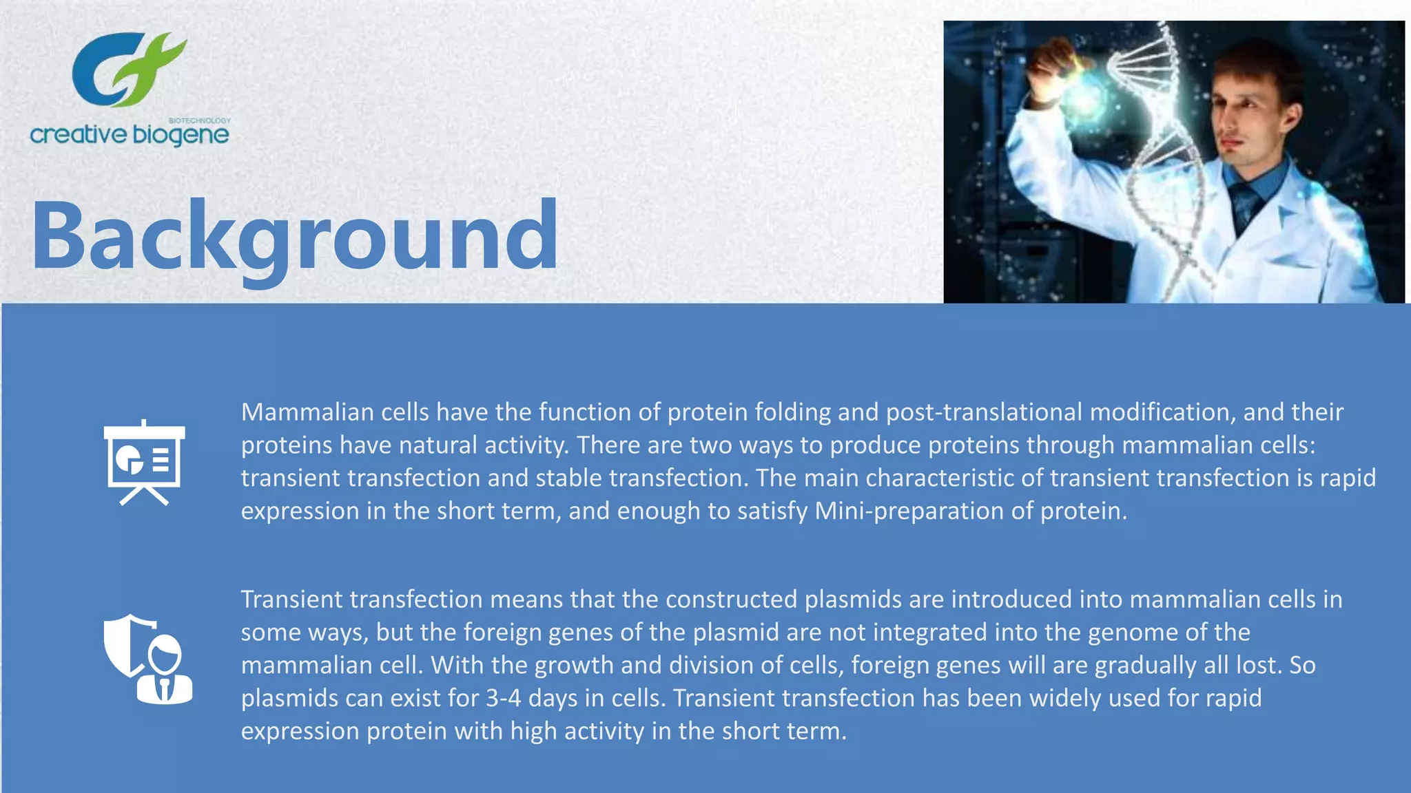 Background
Mammalian cells have the function of protein folding and post-translational modification, and their
proteins have natural activity. There are two ways to produce proteins through mammalian cells:
transient transfection and stable transfection. The main characteristic of transient transfection is rapid
expression in the short term, and enough to satisfy Mini-preparation of protein.
Transient transfection means that the constructed plasmids are introduced into mammalian cells in
some ways, but the foreign genes of the plasmid are not integrated into the genome of the
mammalian cell. With the growth and division of cells, foreign genes will are gradually all lost. So
plasmids can exist for 3-4 days in cells. Transient transfection has been widely used for rapid
expression protein with high activity in the short term.
 