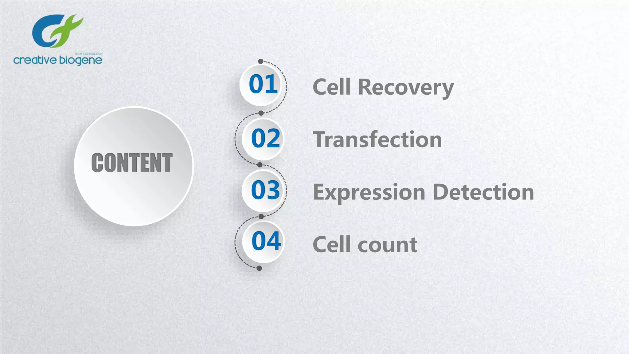 01
CONTENT
Cell Recovery
Transfection
Cell count
02
04
03 Expression Detection
 