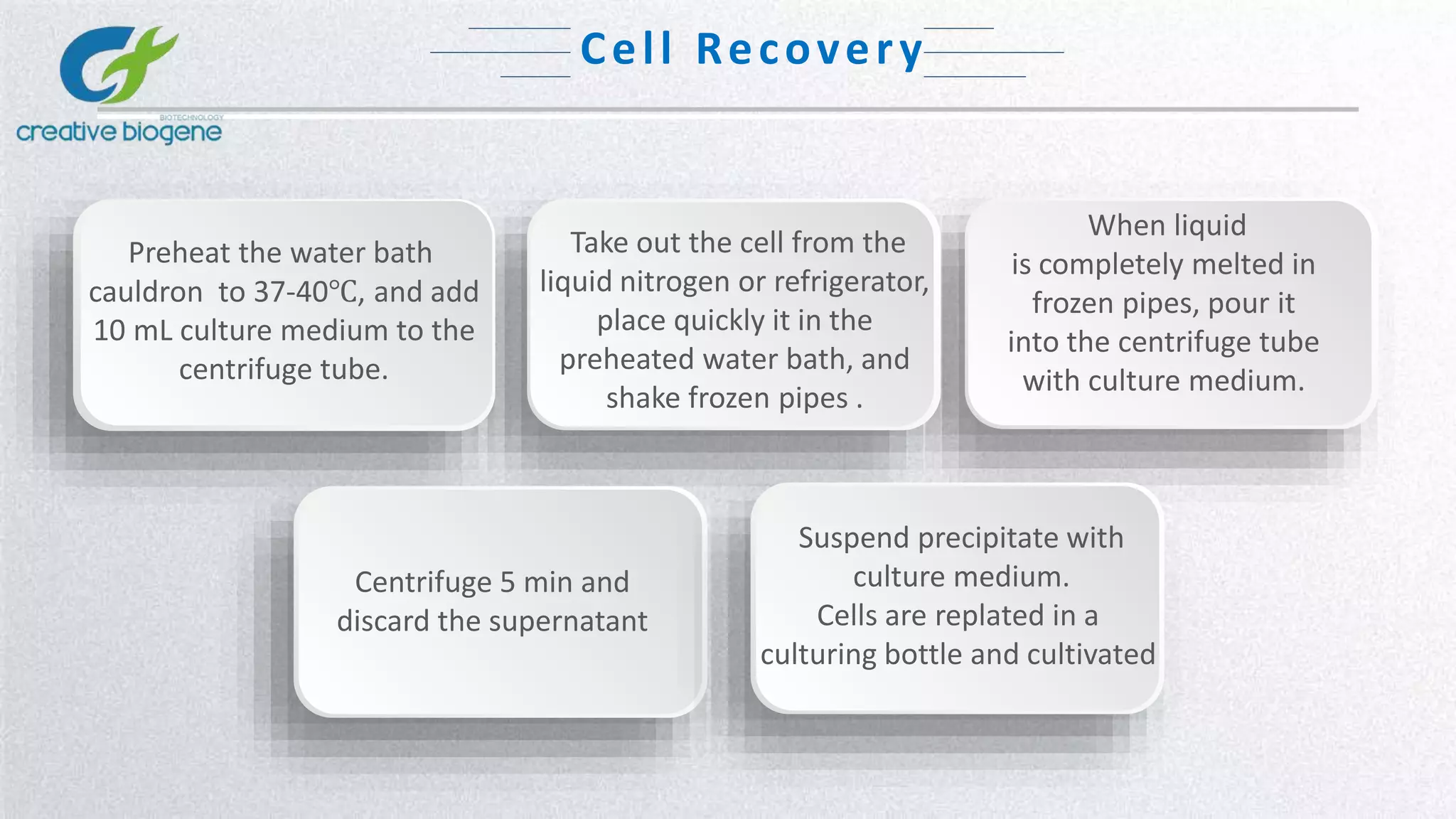 Cell Recovery
When liquid
is completely melted in
frozen pipes, pour it
into the centrifuge tube
with culture medium.
Take out the cell from the
liquid nitrogen or refrigerator,
place quickly it in the
preheated water bath, and
shake frozen pipes .
Preheat the water bath
cauldron to 37-40℃, and add
10 mL culture medium to the
centrifuge tube.
Centrifuge 5 min and
discard the supernatant
Suspend precipitate with
culture medium.
Cells are replated in a
culturing bottle and cultivated
 