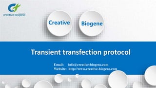 Creative Biogene
Transient transfection protocol
Email: info@creative-biogene.com
Website: http://www.creative-biogene.com
 