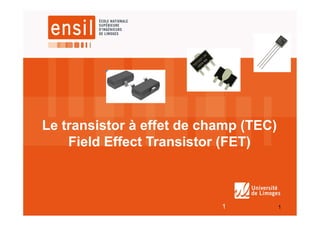 1
Le transistor à effet de champ (TEC)
Field Effect Transistor (FET)
1
 
