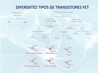DIFERENTES TIPOS DE TRANSISTORES FET
 