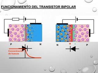 +

+
+

+
+

+

+

+ +

+

+

+

+
+

N

-

-

+

N

-

-

-

+

+

+
+

Concentración
de huecos

+

P

+

-

+

-

+

-

+

-

-

-

+

-

+ +

-

-

-

+

-

-

-

+

-

+

-

-

+

-

+

FUNCIONAMIENTO DEL TRANSISTOR BIPOLAR

-

+ -

-

-

-

-

-

-

P

 