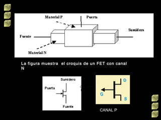 La figura muestra  el croquis de un FET con canal
N
CANAL P
 