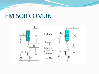 EMISOR COMUN 