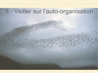 6 - Veiller sur l’auto-organisation
 