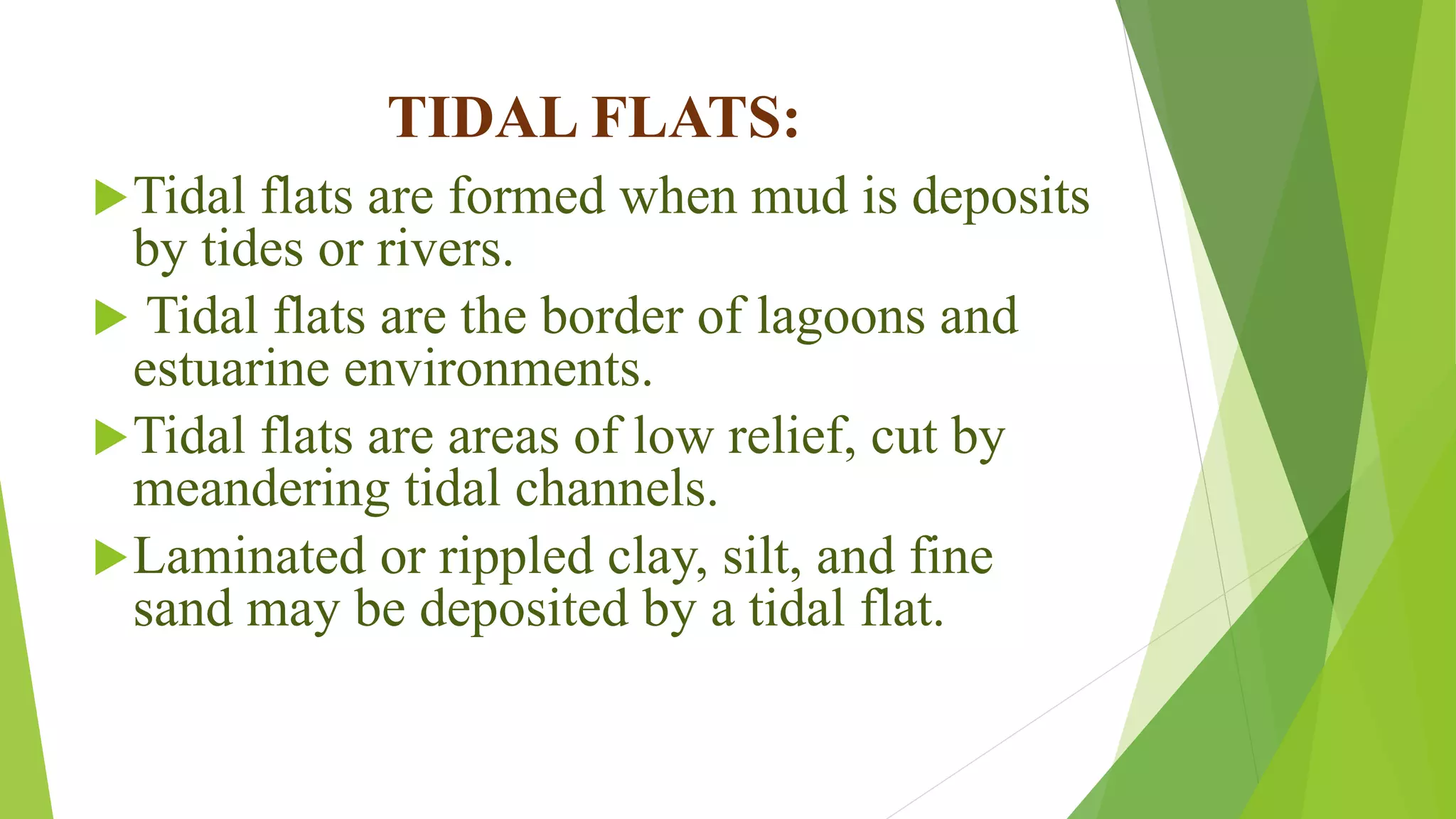 TIDAL FLATS:
Tidal flats are formed when mud is deposits
by tides or rivers.
 Tidal flats are the border of lagoons and
estuarine environments.
Tidal flats are areas of low relief, cut by
meandering tidal channels.
Laminated or rippled clay, silt, and fine
sand may be deposited by a tidal flat.
 