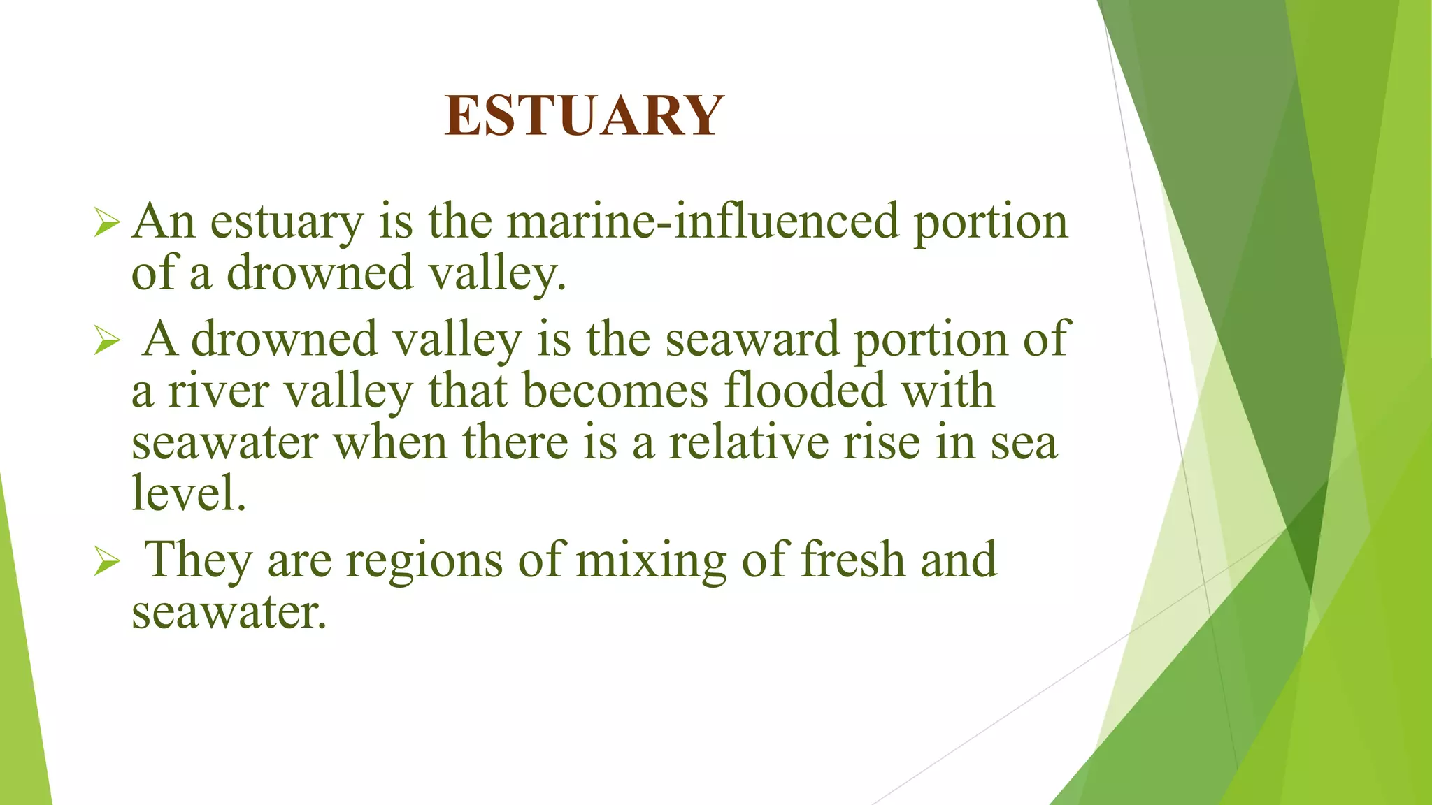 ESTUARY
An estuary is the marine-influenced portion
of a drowned valley.
 A drowned valley is the seaward portion of
a river valley that becomes flooded with
seawater when there is a relative rise in sea
level.
 They are regions of mixing of fresh and
seawater.
 
