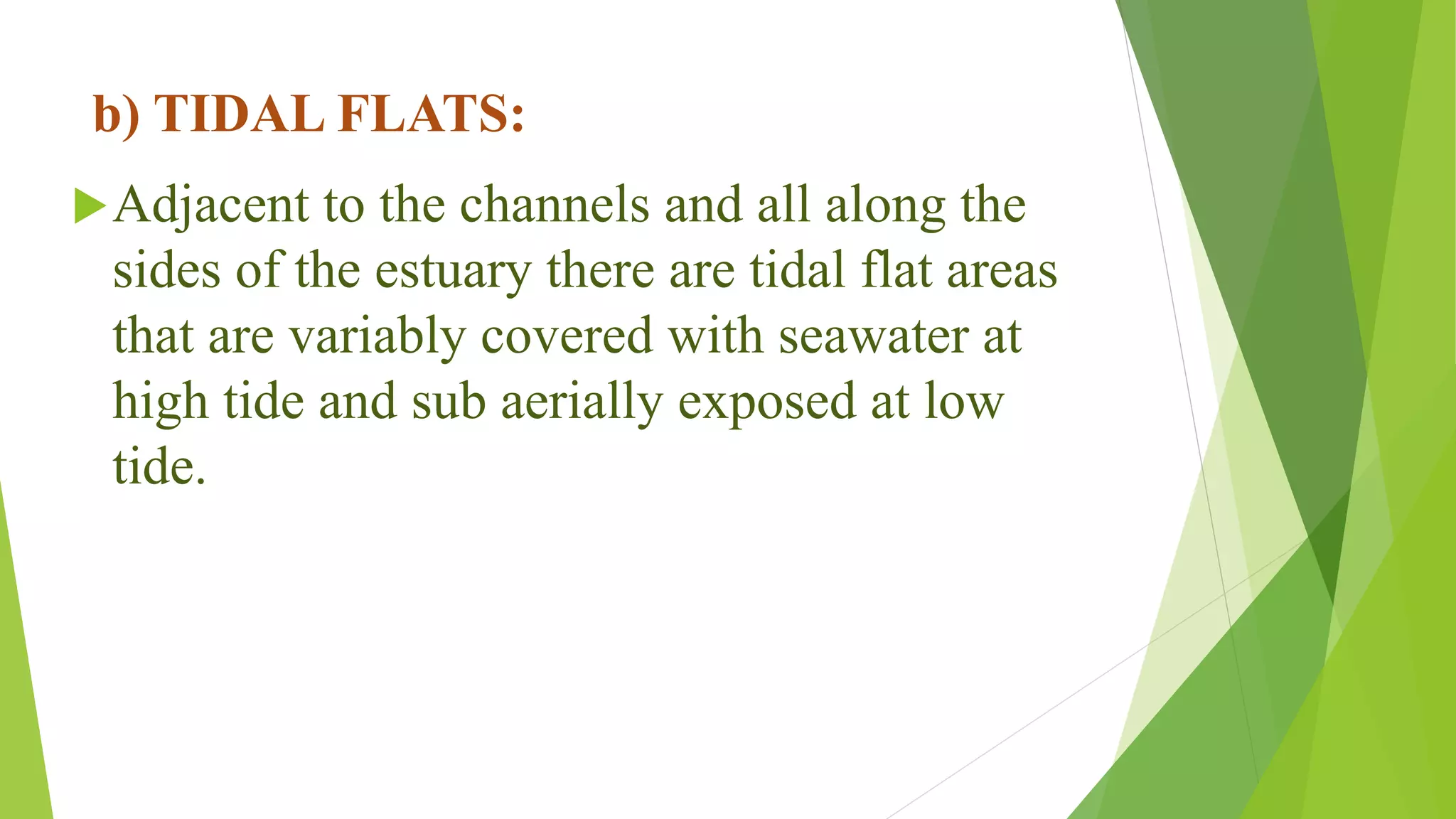 b) TIDAL FLATS:
Adjacent to the channels and all along the
sides of the estuary there are tidal flat areas
that are variably covered with seawater at
high tide and sub aerially exposed at low
tide.
 