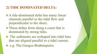 2) TIDE DOMINATED DELTA:
A tide-dominated delta has many linear
channels parallel to the tidal flow and
perpendicular to the shore.
These deltas form along a coast that is
dominated by strong tides.
 The sediments are reshaped into tidal bars
that are aligned parallel to a tidal current.
 e.g. The Ganges-Brahmaputra.
 