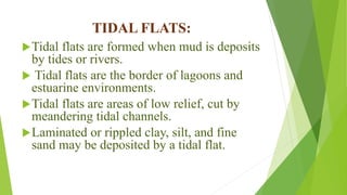 TIDAL FLATS:
Tidal flats are formed when mud is deposits
by tides or rivers.
 Tidal flats are the border of lagoons and
estuarine environments.
Tidal flats are areas of low relief, cut by
meandering tidal channels.
Laminated or rippled clay, silt, and fine
sand may be deposited by a tidal flat.
 