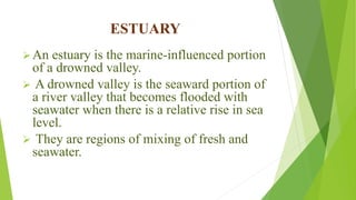 ESTUARY
An estuary is the marine-influenced portion
of a drowned valley.
 A drowned valley is the seaward portion of
a river valley that becomes flooded with
seawater when there is a relative rise in sea
level.
 They are regions of mixing of fresh and
seawater.
 