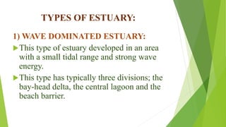 TYPES OF ESTUARY:
1) WAVE DOMINATED ESTUARY:
This type of estuary developed in an area
with a small tidal range and strong wave
energy.
This type has typically three divisions; the
bay-head delta, the central lagoon and the
beach barrier.
 