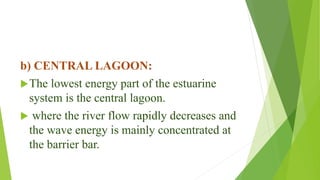 b) CENTRAL LAGOON:
The lowest energy part of the estuarine
system is the central lagoon.
 where the river flow rapidly decreases and
the wave energy is mainly concentrated at
the barrier bar.
 