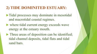 2) TIDE DOMINITED ESTUARY:
Tidal processes may dominate in mesotidal
and macrotidal coastal regimes.
 where tidal current energy exceeds wave
energy at the estuary mouth.
 Three areas of deposition can be identified;
tidal channel deposits, tidal flats and tidal
sand bars.
 