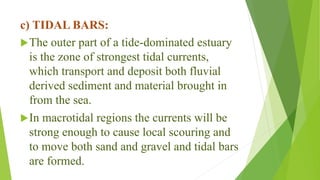 c) TIDAL BARS:
The outer part of a tide-dominated estuary
is the zone of strongest tidal currents,
which transport and deposit both fluvial
derived sediment and material brought in
from the sea.
In macrotidal regions the currents will be
strong enough to cause local scouring and
to move both sand and gravel and tidal bars
are formed.
 