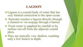 LAGOON
Lagoon is a coastal body of water that has
very limited connection to the open ocean.
 Seawater reaches a lagoon directly through
a channel or via seepage through a barrier.
 Fresh water is supplied by rainfall or by
surface run-off from the adjacent coastal
plain.
They are typically very shallow, reaching
only a few meters in depth.
 