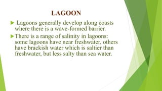 LAGOON
 Lagoons generally develop along coasts
where there is a wave-formed barrier.
There is a range of salinity in lagoons:
some lagoons have near freshwater, others
have brackish water which is saltier than
freshwater, but less salty than sea water.
 