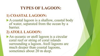 TYPES OF LAGOON:
1) COASTAL LAGOON:
A coastal lagoon is a shallow, coastal body
of water, separated from the ocean by a
barrier.
2) ATOLL LAGOON:
An oceanic or atoll lagoon is a circular
coral reef or string of coral islands
surrounding a lagoon. Atoll lagoons are
much deeper than coastal lagoons,
sometimes about 20 m deep.
 