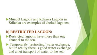 Mundel Lagoon and Rekawa Lagoon in
Srilanka are examples of choked lagoons.
b) RESTRICTED LAGOON:
Restricted lagoons have more than one
channel to the sea.
 Temporarily ‘restricting’ water exchange,
but in reality there is good water exchange,
and a net transport of water to the sea.
 