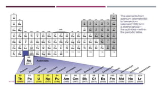 ACTINOIDS
BY FREYA CARDOZO
 