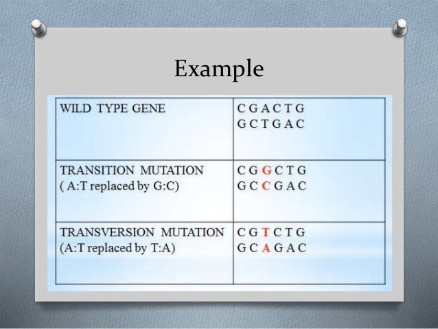 Mutation