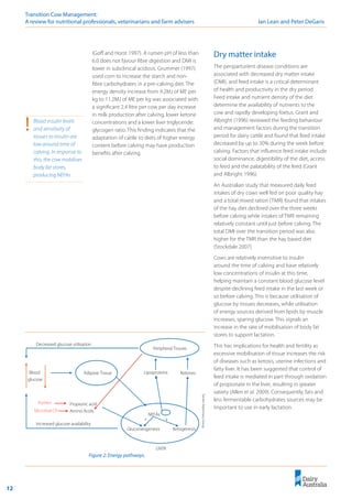 12
Transition Cow Management: 	
A review for nutritional professionals, veterinarians and farm advisers	 Ian Lean and Peter DeGaris
Figure 2: Energy pathways.
Tarwin
Veterinary
Group
Blood
glucose
Adipose Tissue
Peripheral Tissues
NEFAs
Ketogenesis
Gluconeogenesis
Propionic acid
Amino Acids
Ketones
+ +
LIVER
Increased glucose availability
Decreased glucose utilisation
Rumen
Microbial CP
Lipoproteins
(Goff and Horst 1997). A rumen pH of less than
6.0 does not favour fibre digestion and DMI is
lower in subclinical acidosis. Grummer (1997)
used corn to increase the starch and non-
fibre carbohydrates in a pre-calving diet. The
energy density increase from 9.2MJ of ME per
kg to 11.2MJ of ME per kg was associated with
a significant 2.4 litre per cow per day increase
in milk production after calving, lower ketone
concentrations and a lower liver triglyceride:
glycogen ratio. This finding indicates that the
adaptation of cattle to diets of higher energy
content before calving may have production
benefits after calving.
Dry matter intake
The periparturient disease conditions are
associated with decreased dry matter intake
(DMI), and feed intake is a critical determinant
of health and productivity in the dry period.
Feed intake and nutrient density of the diet
determine the availability of nutrients to the
cow and rapidly developing foetus. Grant and
Albright (1996) reviewed the feeding behaviour
and management factors during the transition
period for dairy cattle and found that feed intake
decreased by up to 30% during the week before
calving. Factors that influence feed intake include
social dominance, digestibility of the diet, access
to feed and the palatability of the feed (Grant
and Albright 1996).
An Australian study that measured daily feed
intakes of dry cows well fed on poor quality hay
and a total mixed ration (TMR) found that intakes
of the hay diet declined over the three weeks
before calving while intakes of TMR remaining
relatively constant until just before calving. The
total DMI over the transition period was also
higher for the TMR than the hay based diet
(Stockdale 2007).
Cows are relatively insensitive to insulin
around the time of calving and have relatively
low concentrations of insulin at this time,
helping maintain a constant blood glucose level
despite declining feed intake in the last week or
so before calving. This is because utilisation of
glucose by tissues decreases, while utilisation
of energy sources derived from lipids by muscle
increases, sparing glucose. This signals an
increase in the rate of mobilisation of body fat
stores to support lactation.
This has implications for health and fertility as
excessive mobilisation of tissue increases the risk
of diseases such as ketosis, uterine infections and
fatty liver. It has been suggested that control of
feed intake is mediated in part through oxidation
of propionate in the liver, resulting in greater
satiety (Allen et al. 2009). Consequently, fats and
less fermentable carbohydrates sources may be
important to use in early lactation.
!	 Blood insulin levels
and sensitivity of
tissues to insulin are
low around time of
calving. In response to
this, the cow mobilises
body fat stores,
producing NEFAs.
 