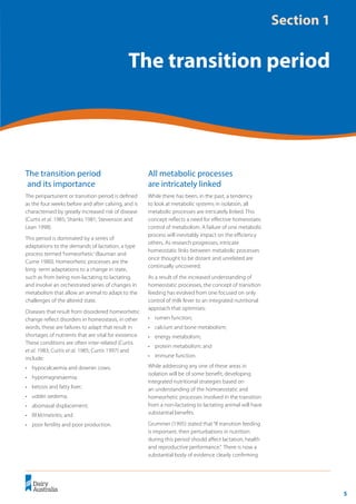5
	 Transition Cow Management:
Ian Lean and Peter DeGaris 	 A review for nutritional professionals, veterinarians and farm advisers
Section 1
The transition period
The transition period
and its importance
The periparturient or transition period is defined
as the four weeks before and after calving, and is
characterised by greatly increased risk of disease
(Curtis et al. 1985; Shanks 1981; Stevenson and
Lean 1998).
This period is dominated by a series of
adaptations to the demands of lactation, a type
process termed ‘homeorhetic’(Bauman and
Currie 1980). Homeorhetic processes are the
long -term adaptations to a change in state,
such as from being non-lactating to lactating,
and involve an orchestrated series of changes in
metabolism that allow an animal to adapt to the
challenges of the altered state.
Diseases that result from disordered homeorhetic
change reflect disorders in homeostasis, in other
words, these are failures to adapt that result in
shortages of nutrients that are vital for existence.
These conditions are often inter-related (Curtis
et al. 1983; Curtis et al. 1985; Curtis 1997) and
include:
•	 hypocalcaemia and downer cows;
•	 hypomagnesaemia;
•	 ketosis and fatty liver;
•	 udder oedema;
•	 abomasal displacement;
•	 RFM/metritis; and
•	 poor fertility and poor production.
All metabolic processes
are intricately linked
While there has been, in the past, a tendency
to look at metabolic systems in isolation, all
metabolic processes are intricately linked. This
concept reflects a need for effective homeostatic
control of metabolism. A failure of one metabolic
process will inevitably impact on the efficiency
others. As research progresses, intricate
homeostatic links between metabolic processes
once thought to be distant and unrelated are
continually uncovered.
As a result of the increased understanding of
homeostatic processes, the concept of transition
feeding has evolved from one focused on only
control of milk fever to an integrated nutritional
approach that optimises:
•	 rumen function;
•	 calcium and bone metabolism;
•	 energy metabolism;
•	 protein metabolism; and
•	 immune function.
While addressing any one of these areas in
isolation will be of some benefit, developing
integrated nutritional strategies based on
an understanding of the homoeostatic and
homeorhetic processes involved in the transition
from a non-lactating to lactating animal will have
substantial benefits.
Grummer (1995) stated that “If transition feeding
is important, then perturbations in nutrition
during this period should affect lactation, health
and reproductive performance.” There is now a
substantial body of evidence clearly confirming
 