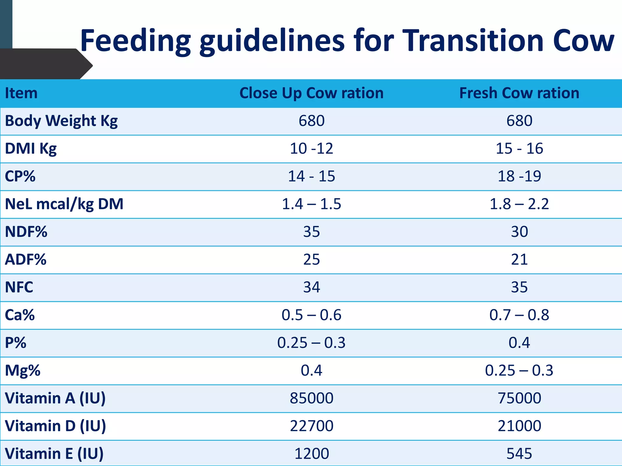 Cow Ration Transition cow management | PPTX