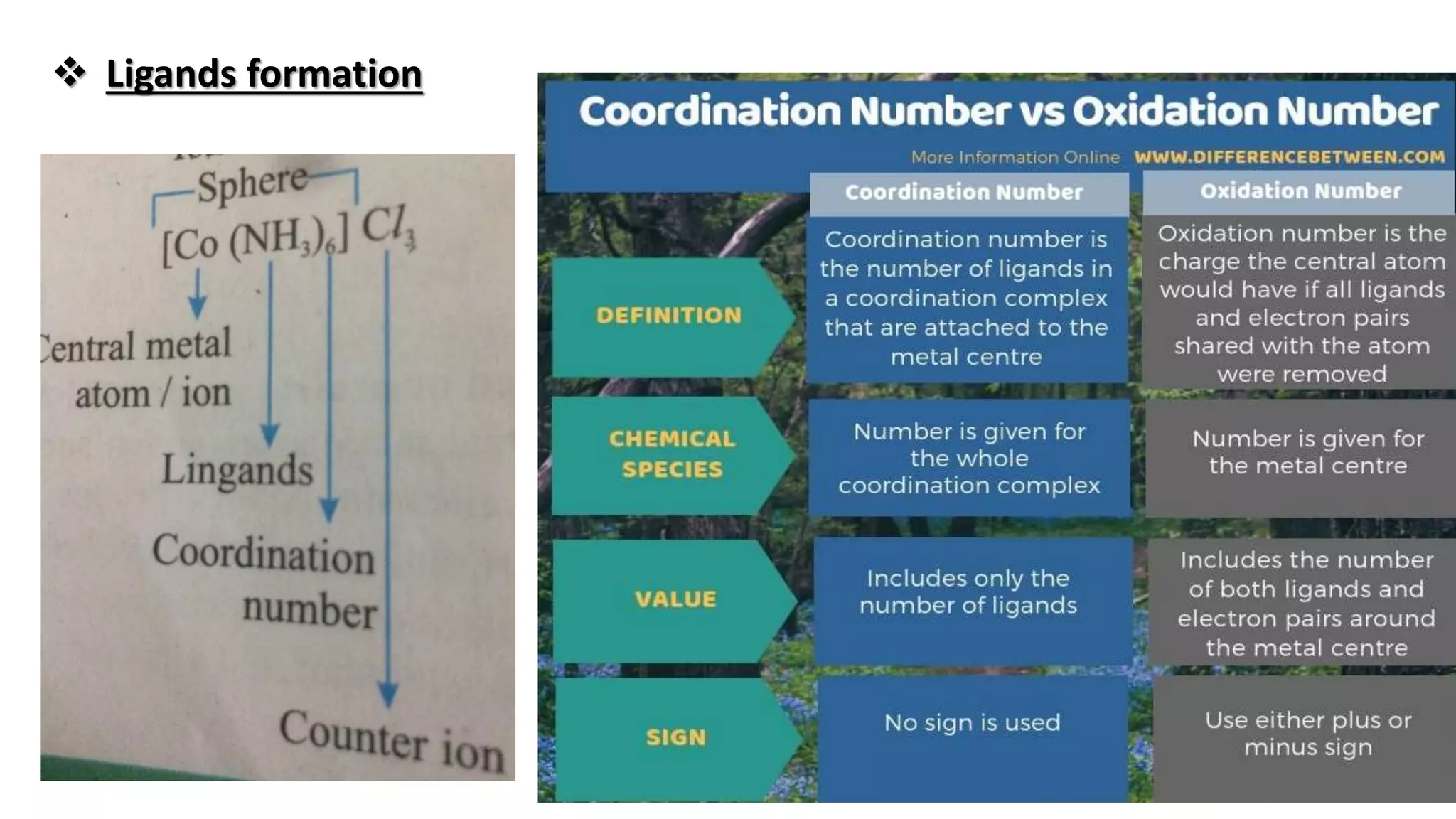18
 Ligands formation
 
